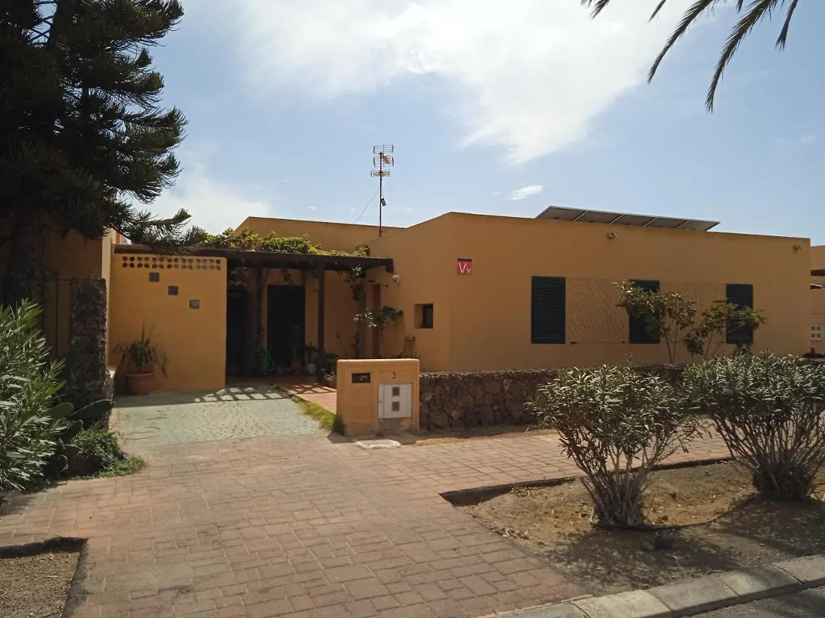 Estudio Orquidea Corralejo Spain